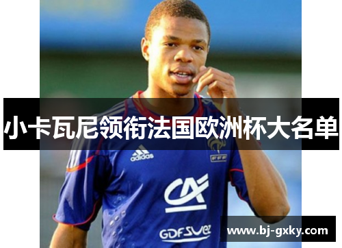 小卡瓦尼领衔法国欧洲杯大名单